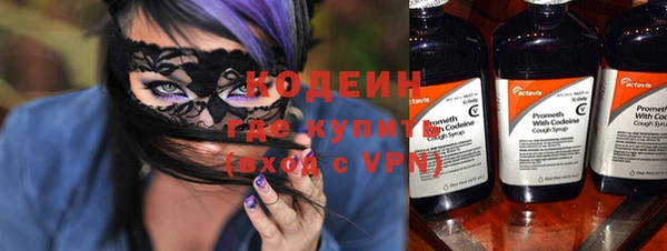 шишки Карпинск
