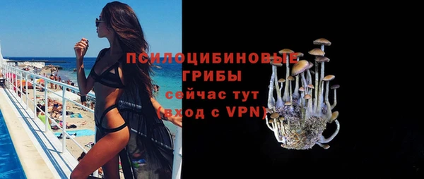 шишки Карпинск