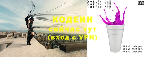 шишки Карпинск