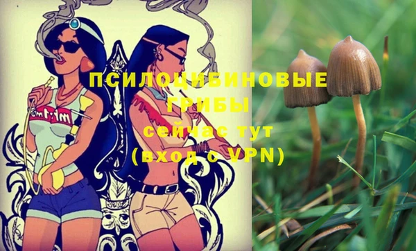 шишки Карпинск
