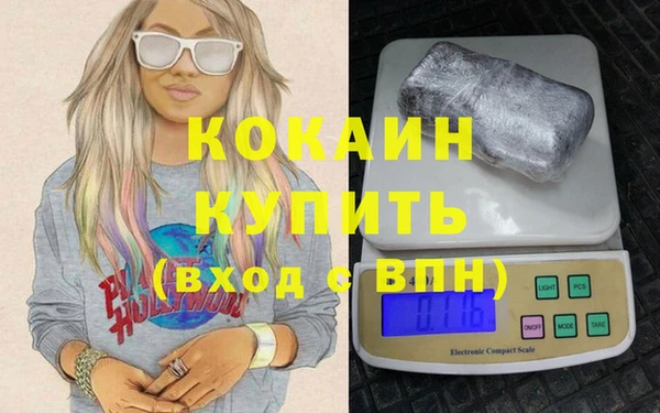 шишки Карпинск