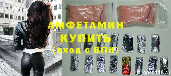 шишки Карпинск