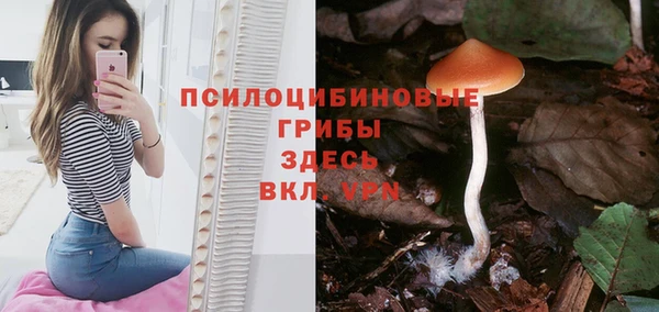 jwh Карталы