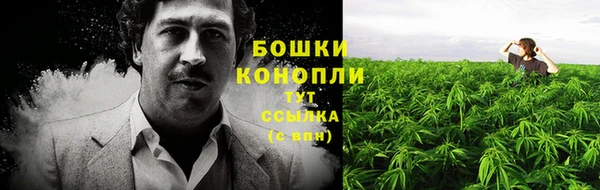 шишки Карпинск