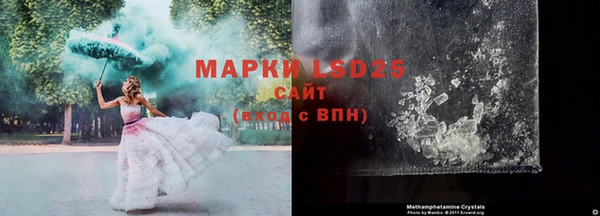 шишки Карпинск