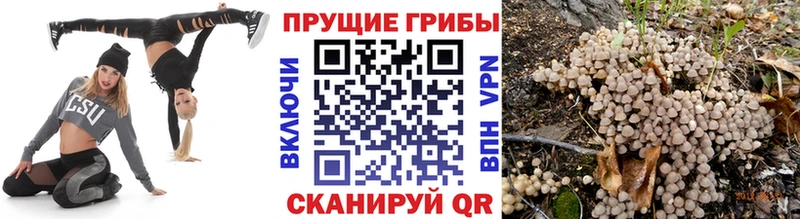 Псилоцибиновые грибы прущие грибы  Купить закладки  Камышин 